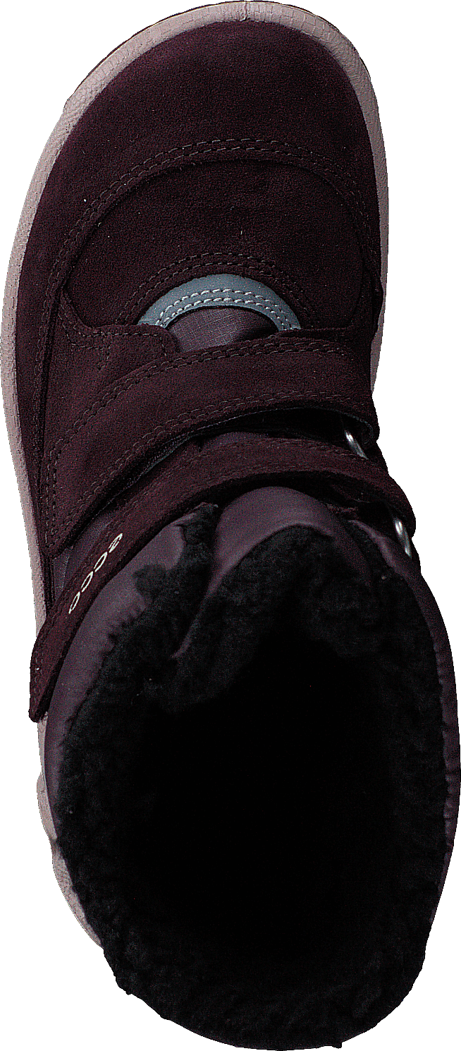 Ecco Biom Hike Infant Figue/schiste