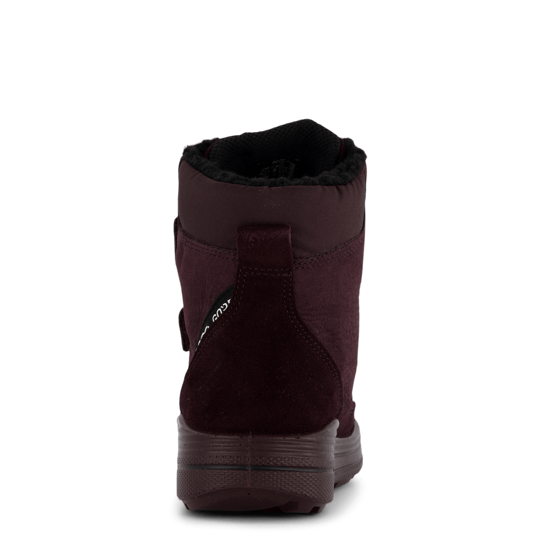 Ecco Urban Snowboarder Fig/fig/fig