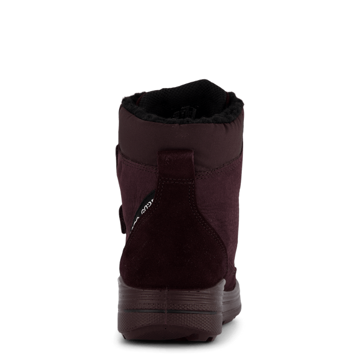 Ecco Urban Snowboarder Fig/fig/fig