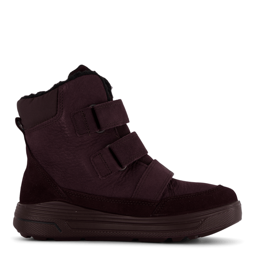 Ecco Urban Snowboarder Fig/fig/fig
