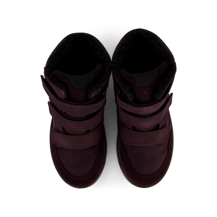 Ecco Urban Snowboarder Fig/fig/fig