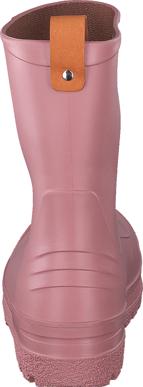 Ģeogrāfiskā karte WP Ash Rose