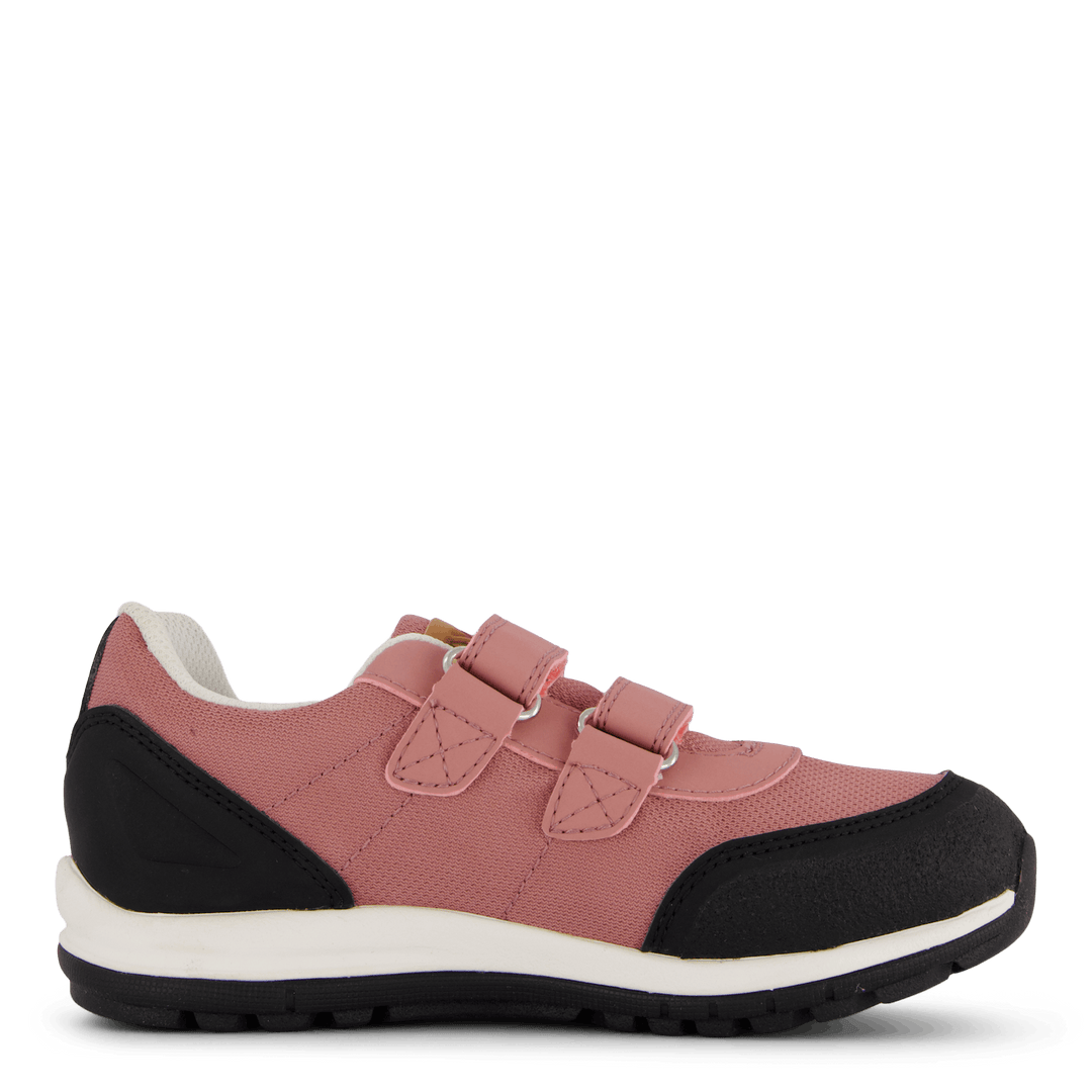 Halland WP Ash Rose