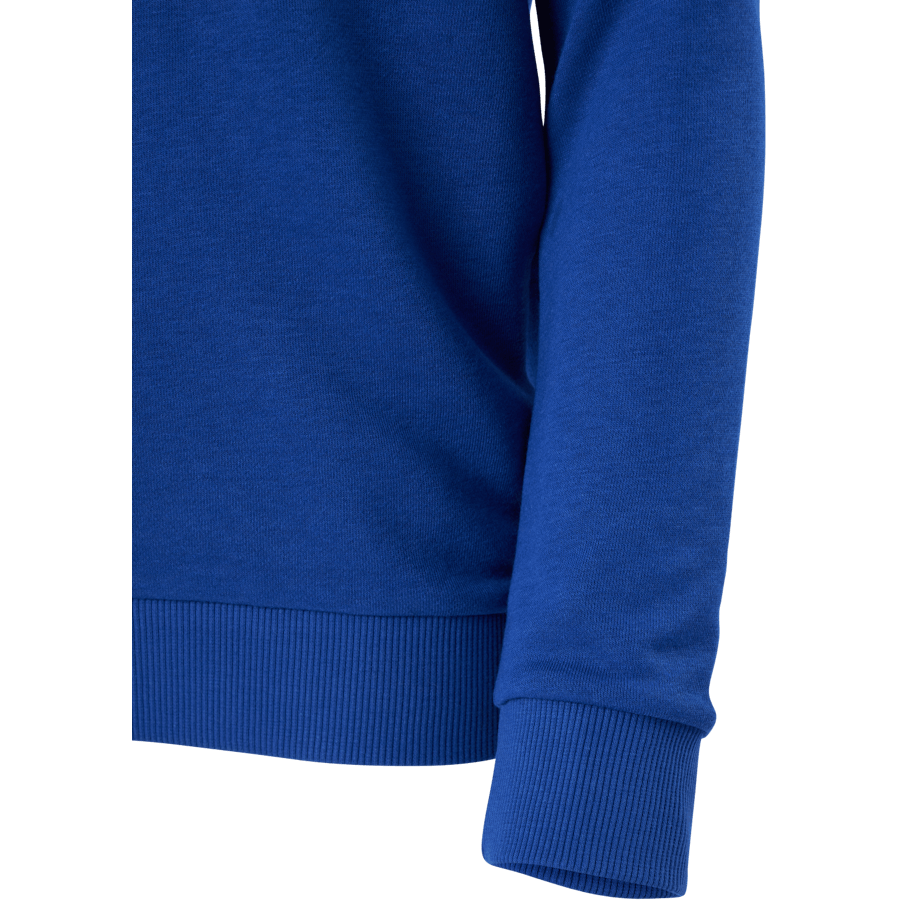 Sweat-shirt Adidas Essentials Big Logo pour garçon, bleu vif / blanc