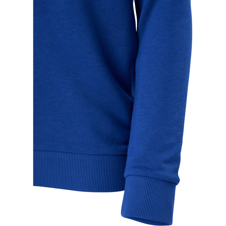 Sweat-shirt Adidas Essentials Big Logo pour garçon, bleu vif / blanc