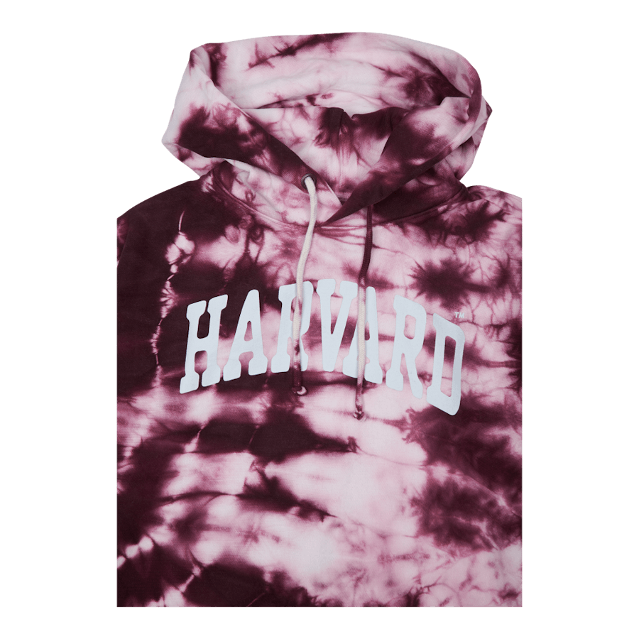 Sweat à capuche Zib