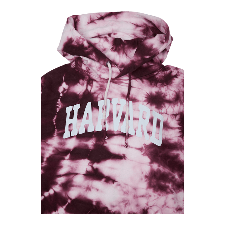 Sweat à capuche Zib