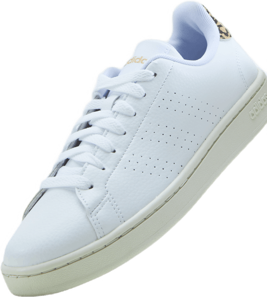 Chaussures Advantage Blanc nuage / Blanc nuage / Teinte blanche
