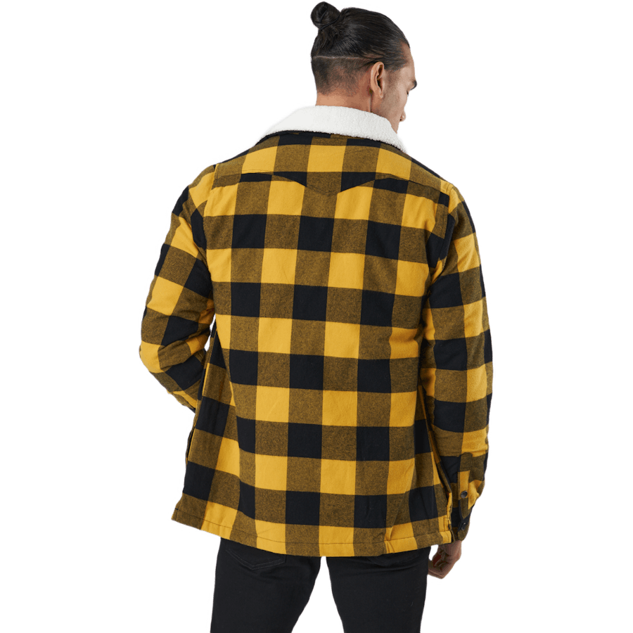 Dawson paita okranvärinen