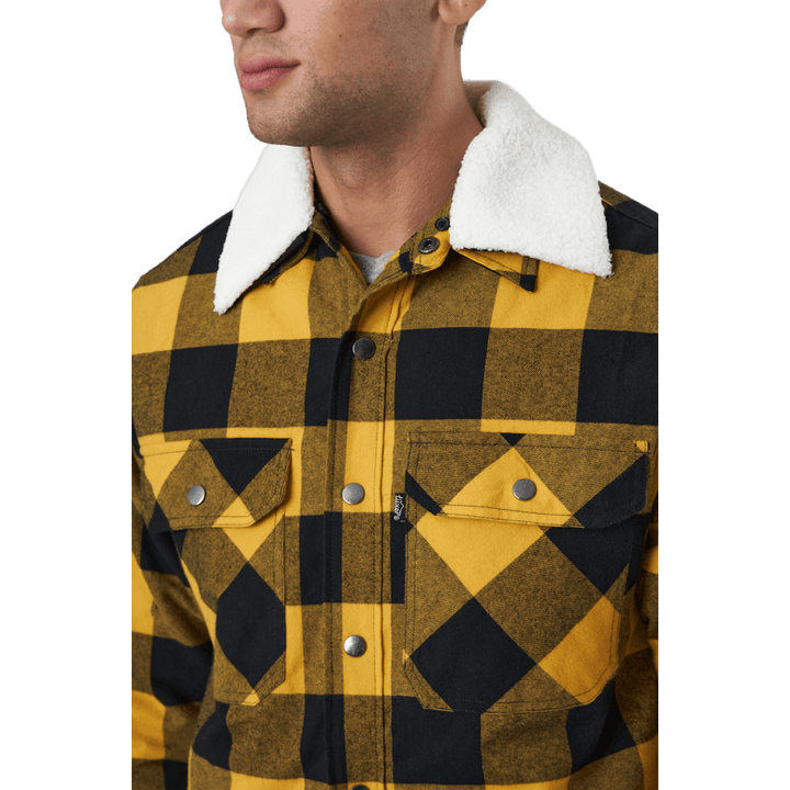 Dawson paita okranvärinen