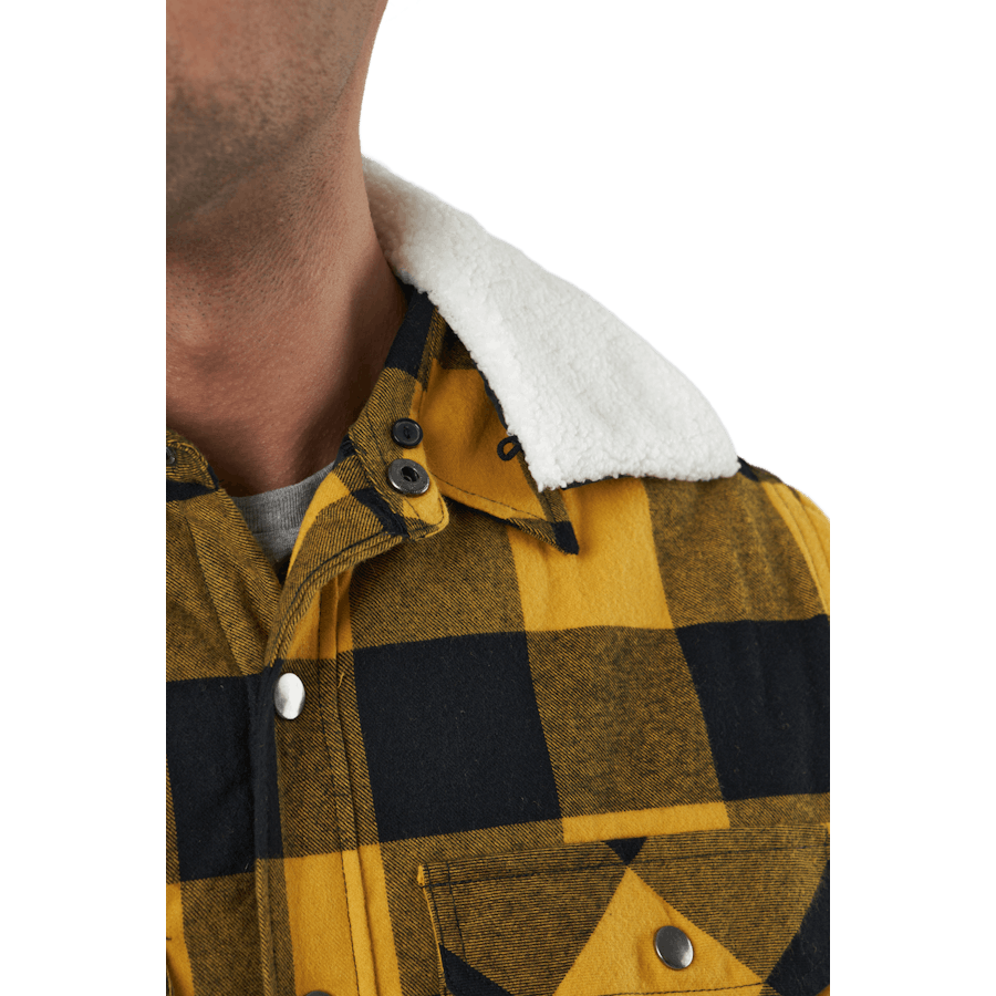 Dawson paita okranvärinen