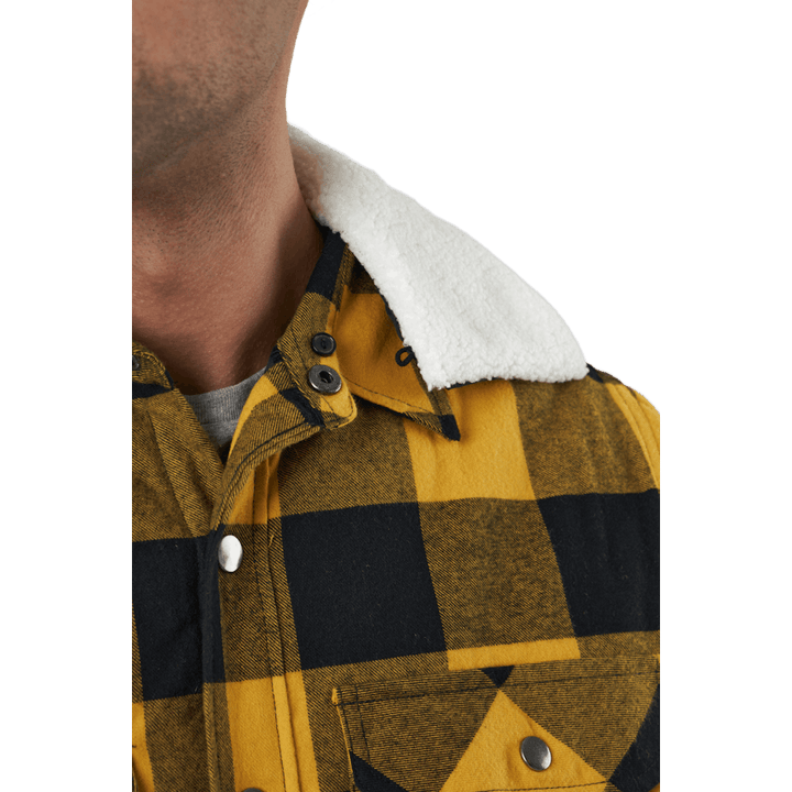 Dawson paita okranvärinen