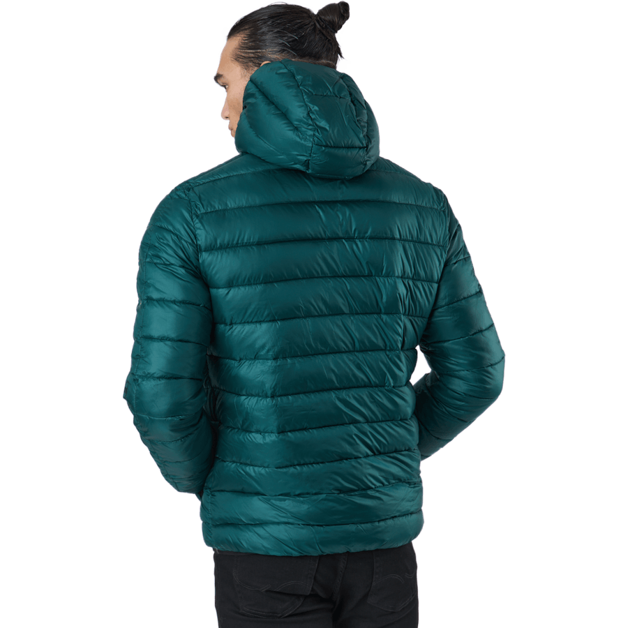 Veste à capuche Rain Forest