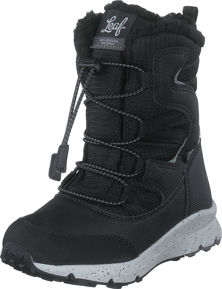 Kardis Black