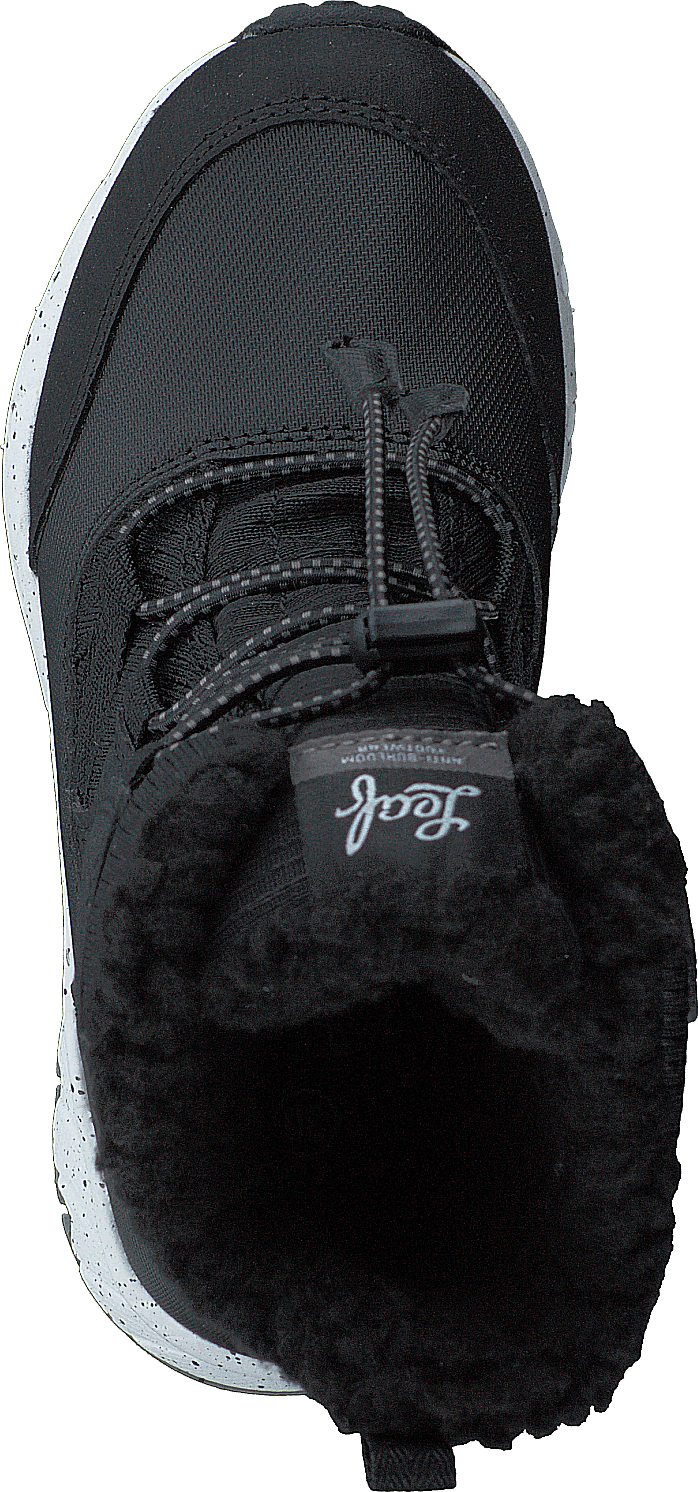 Kardis Black