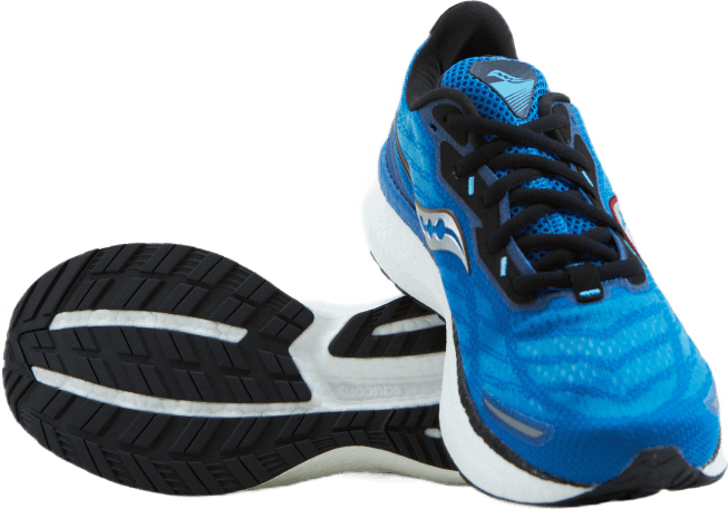 Triumph 19 Royal/space