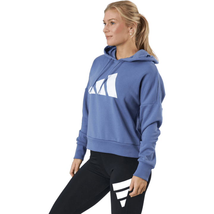 Sweat à capuche Adidas Sportswear Three Bar Orbit Violet