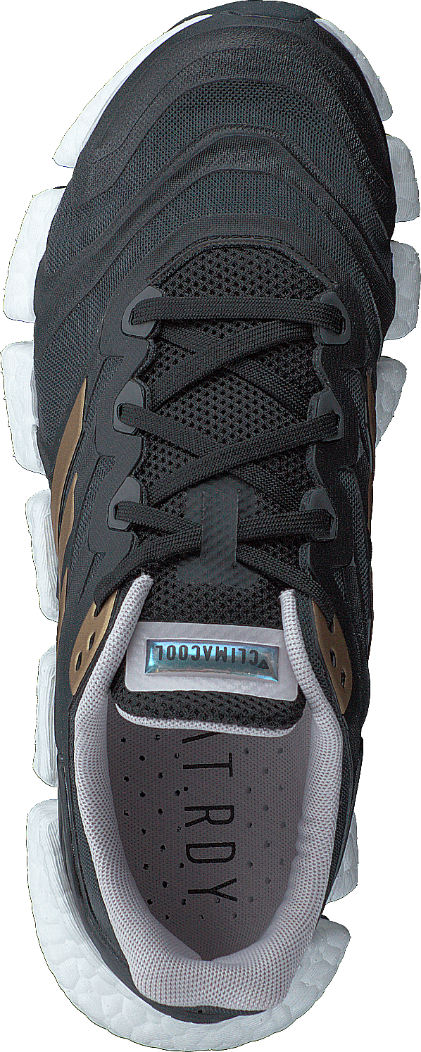 Climacool Vento kengät Harmaa Kuusi / Kupari Metallinen / Ydin musta