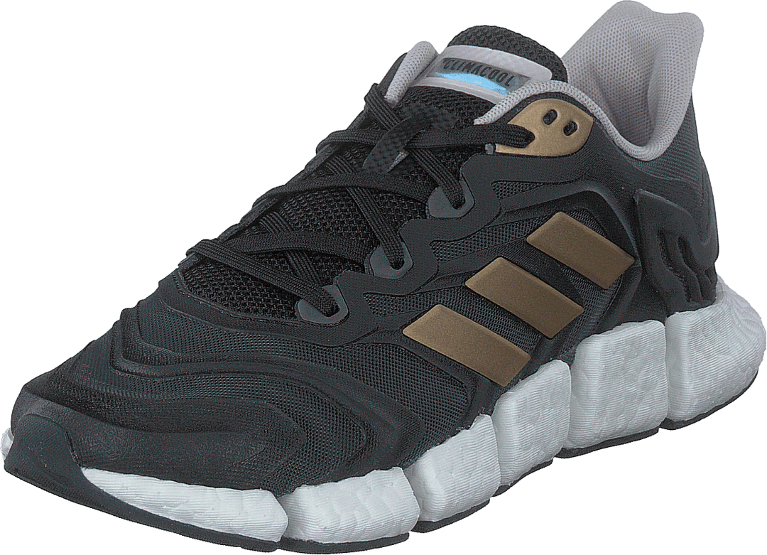 Climacool Vento kengät Harmaa Kuusi / Kupari Metallinen / Ydin musta