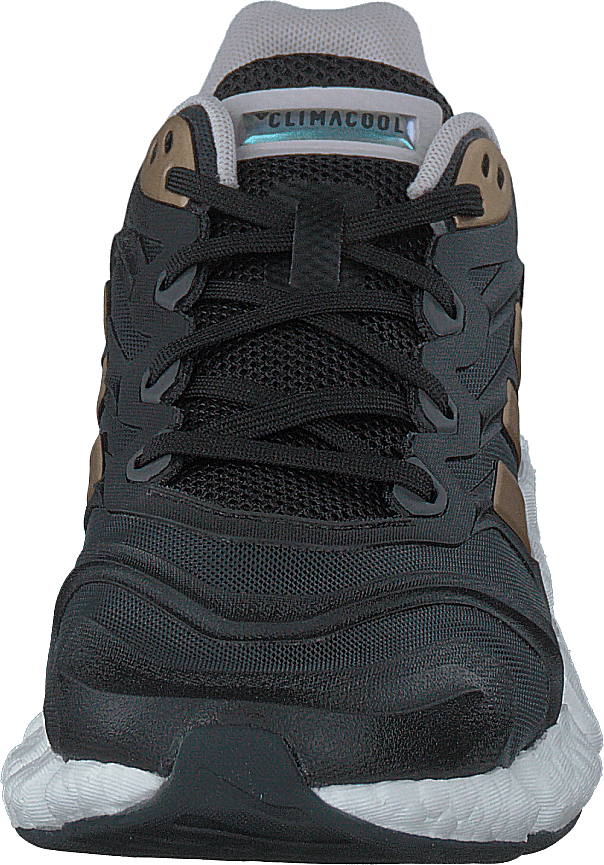 Climacool Vento kengät Harmaa Kuusi / Kupari Metallinen / Ydin musta