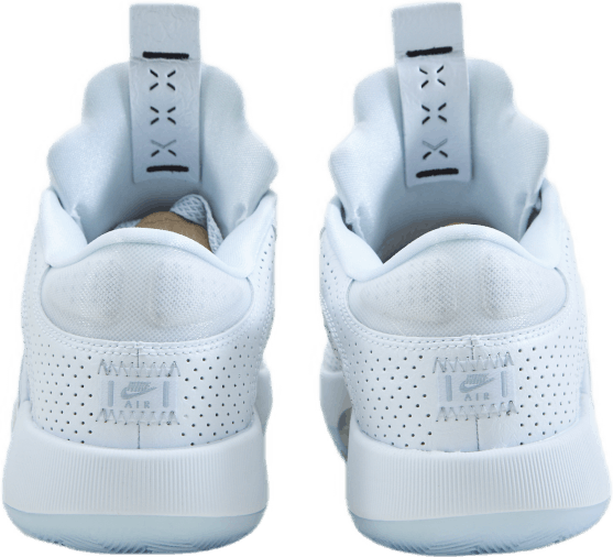 AIR JORDAN XXXV LÅG
