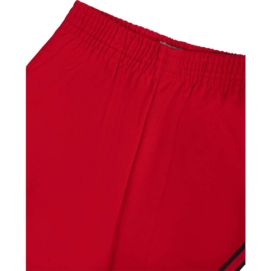 Short Swingman 75e anniversaire des Bulls