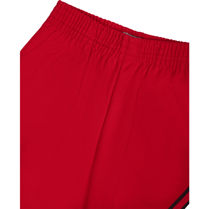 Short Swingman 75e anniversaire des Bulls