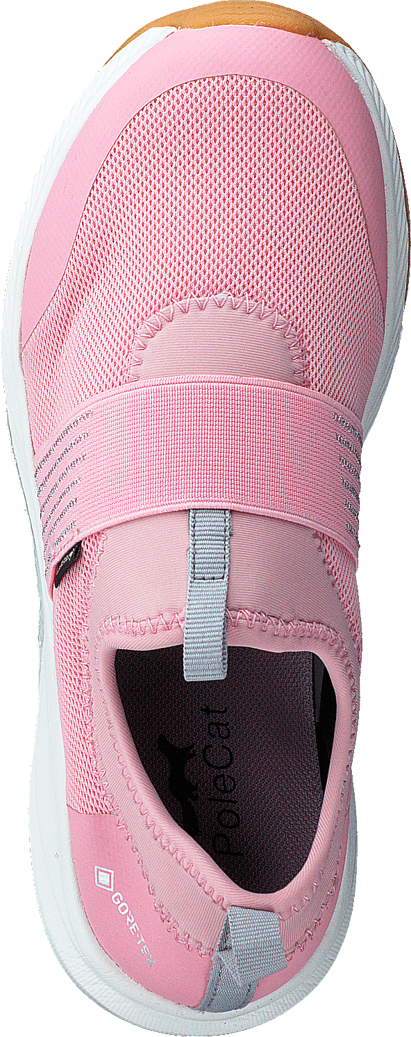 Pippo Play Gtx Jr Rosa