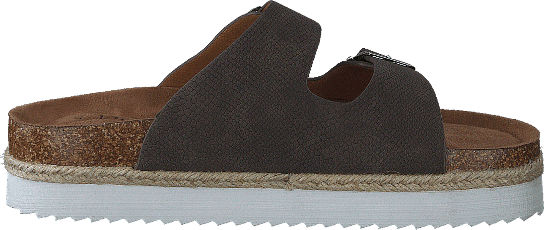 86-24810 Marrone