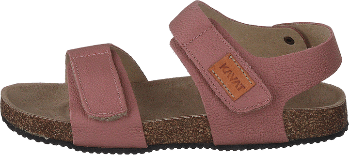 Bomhus Ep Pelenų rožė