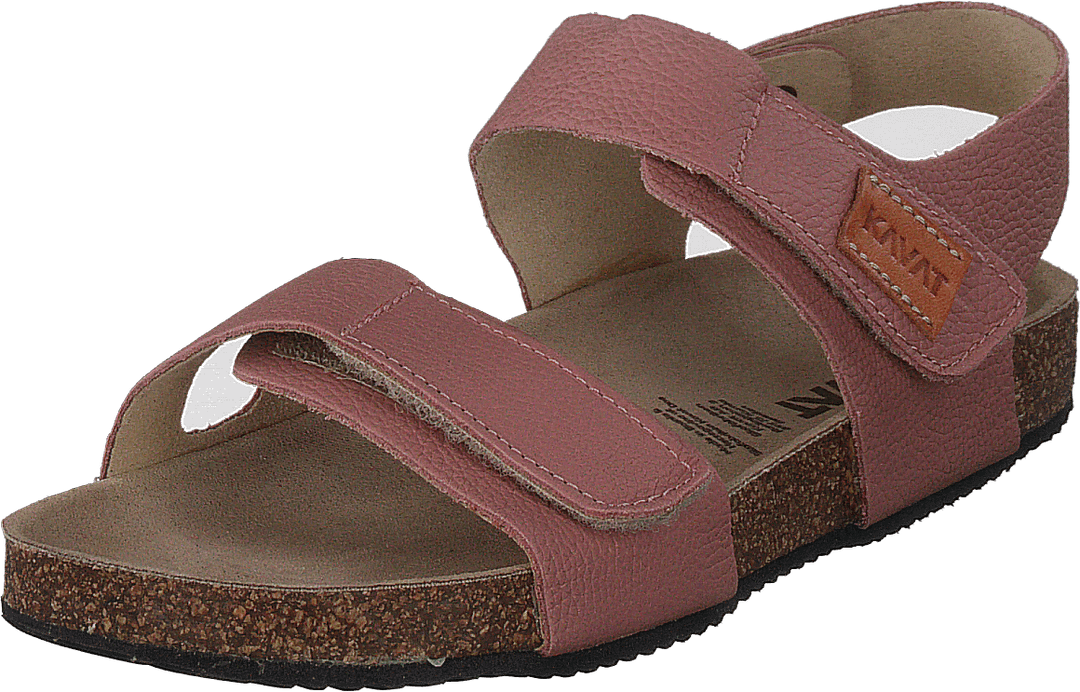 Bomhus Ep Pelenų rožė