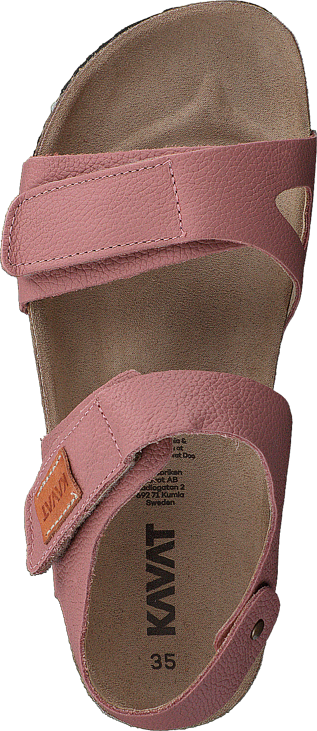 Bomhus Ep Pelenų rožė