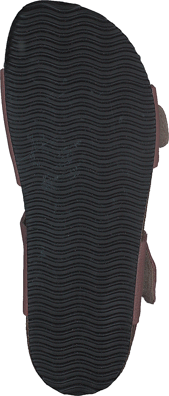 Bomhus Ep Pelenų rožė