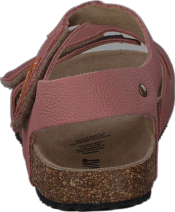 Bomhus Ep Pelenų rožė