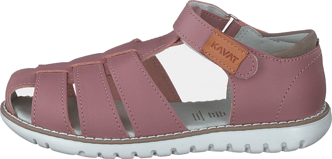 Hällevik Xc Ash Rose