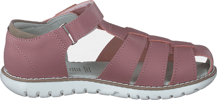 Hällevik Xc Ash Rose