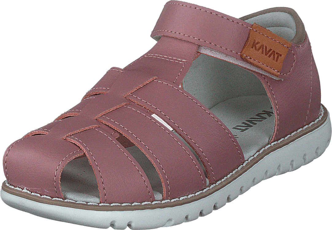 Hällevik Xc Ash Rose