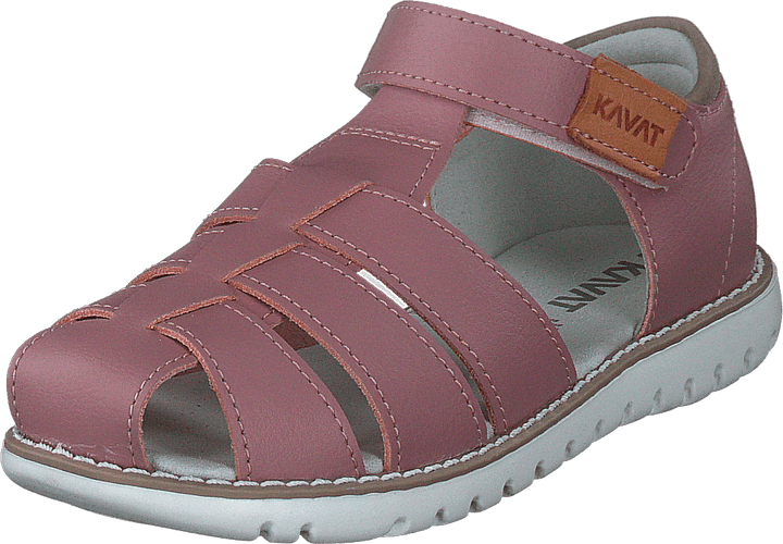 Hällevik Xc Ash Rose