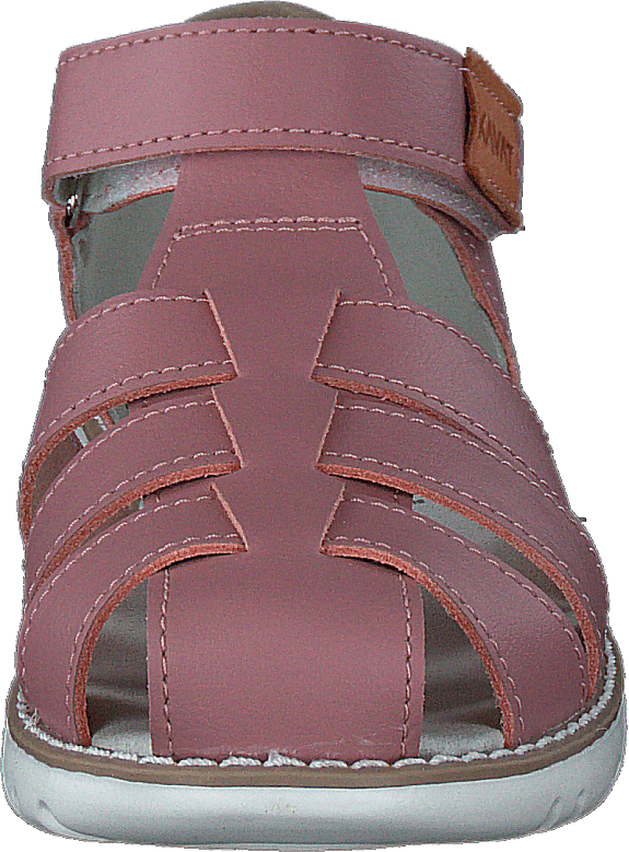 Hällevik Xc Ash Rose