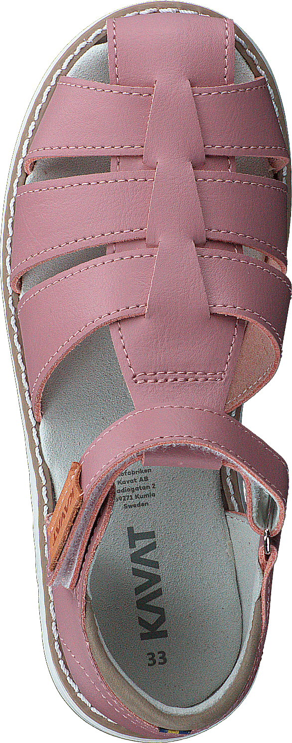 Hällevik Xc Ash Rose