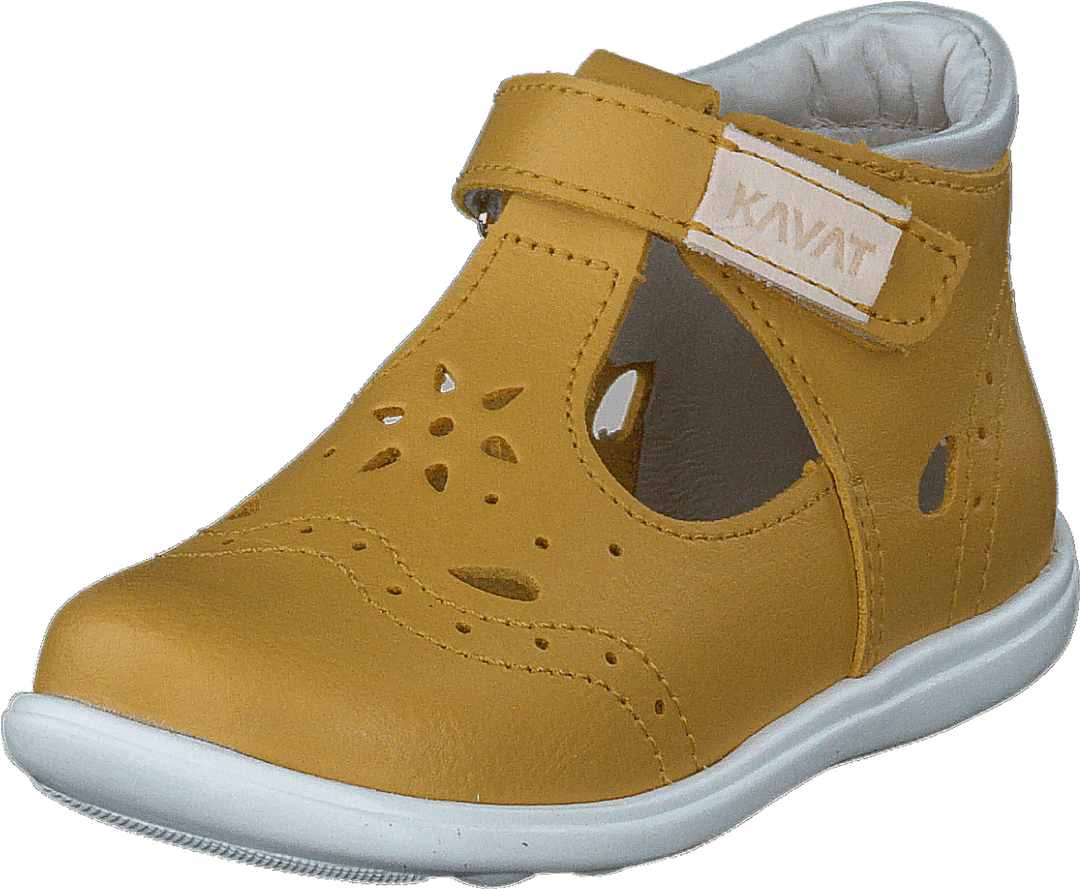 Ängskär Xc Jaune vif