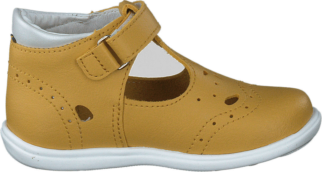 Ängskär Xc Jaune vif