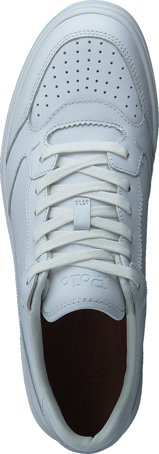 Súdne tenisky White