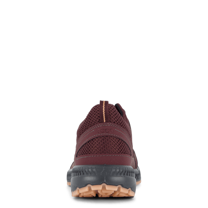 Terracruise II W Fig/fig