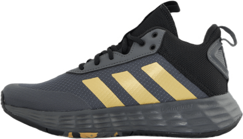 Chaussures Ownthegame 2.0 Gris 5/Or mat/Noir