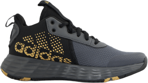 Chaussures Ownthegame 2.0 Gris 5/Or mat/Noir