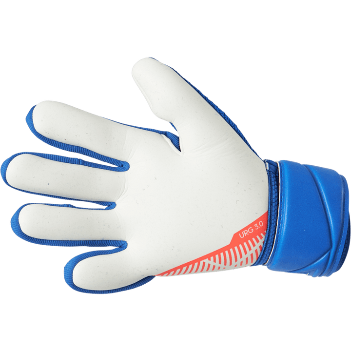 Pred Gl Lge Hi-res Blue S18/turbo/white