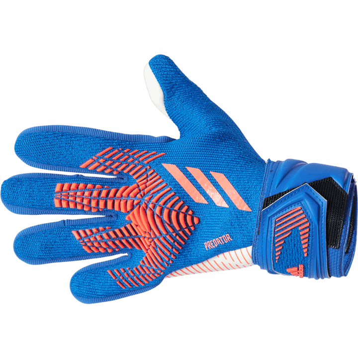 Pred Gl Lge Hi-res Blue S18/turbo/white