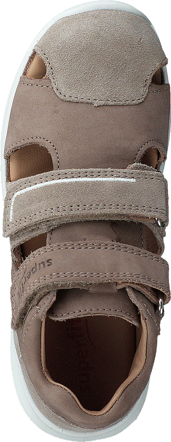 Bumblebee Beige
