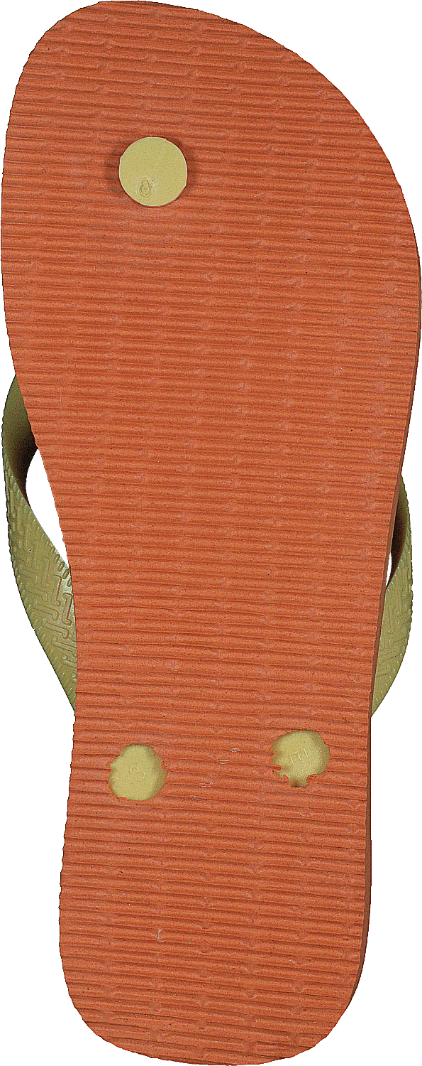 Top Fashion Coral Spark 4755
